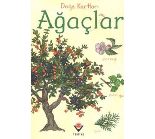 Doğa Kartları - Ağaçlar