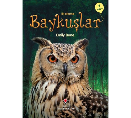İlk Okuma - Baykuşlar İlk Okuma - Baykuşlar