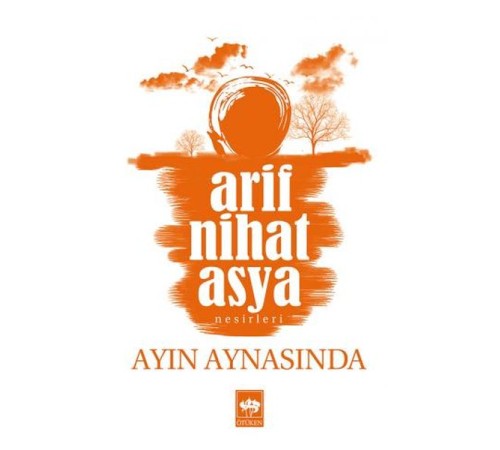 Ayın Aynasında Ayın Aynasında