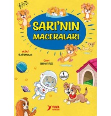 Sarı’nın Maceraları (10 Kitap)