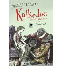 Külkedisi