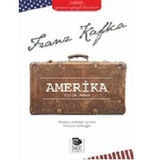 Amerika : Yitik Adam