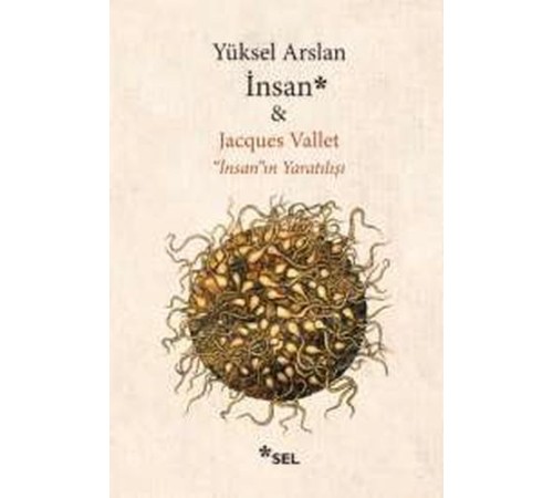 İnsan İnsan