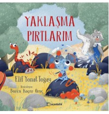 Yaklaşma Pırtlarım