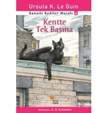 Kanatlı Kediler Masalı 4 - Kentte Tek Başına