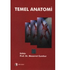 Temel Anatomi