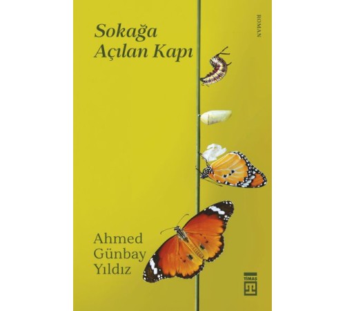 Sokağa Açılan Kapı
