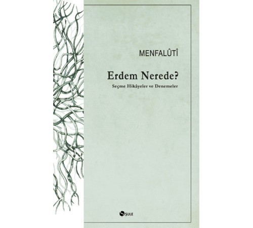 Erdem Nerede? Seçme Hikayeler ve Denemeler