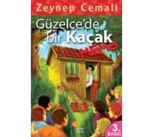 Güzelcede Bir Kaçak, Memo Güzelcede Bir Kaçak, Memo