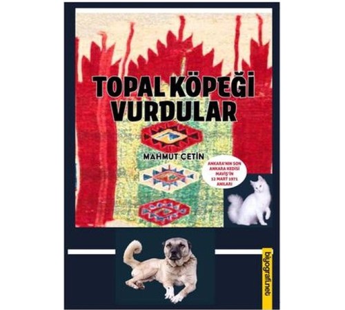 Topal Köpeği Vurdular