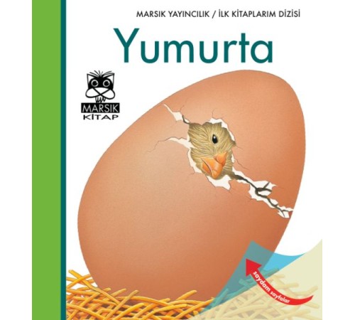 İlk Kitaplarım Dizisi - Yumurta