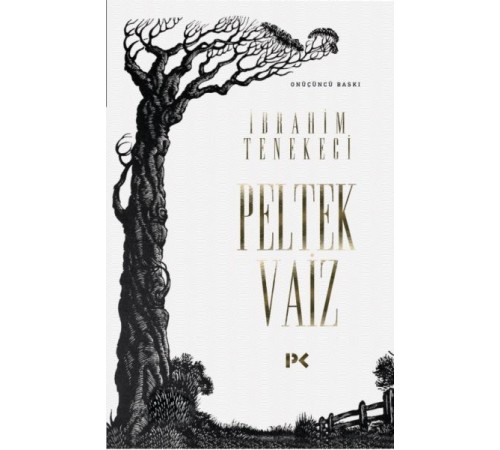 Peltek Vaiz