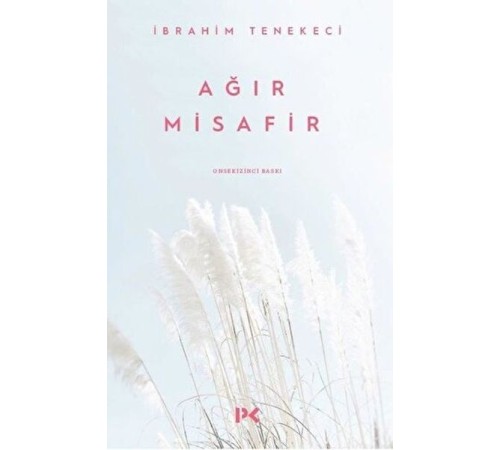 Ağır Misafir