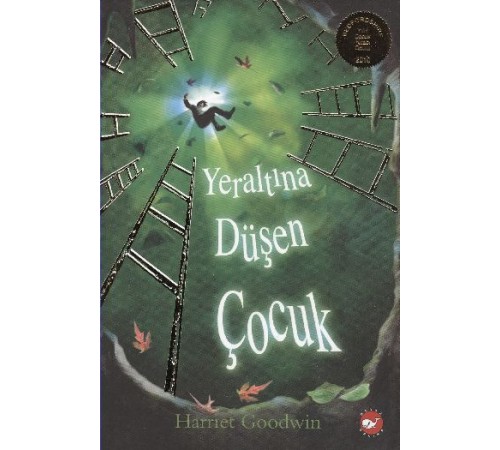 Yeraltına Düşen Çocuk