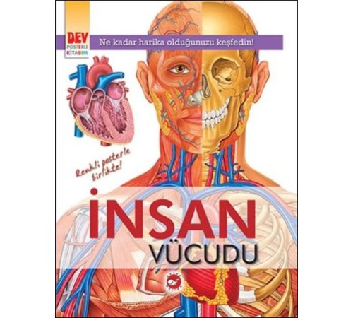 Dev Posterli Kitabım - İnsan Vücudu Dev Posterli Kitabım - İnsan Vücudu
