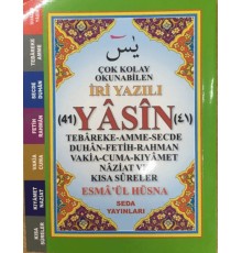 Çok Kolay Okunabilen İri Yazılı 41 Yasin (Çanto Boy, Kod: 165)