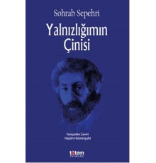 Yalnızlığımın Çinisi