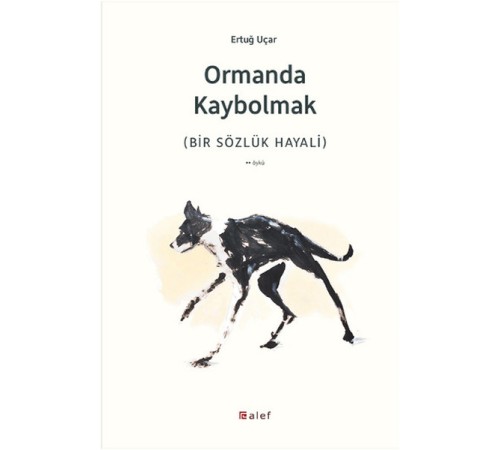 Ormanda Kaybolmak Ormanda Kaybolmak