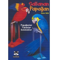 Sallanan Papağan Papağanlar, Tukanlar, Kelebekler