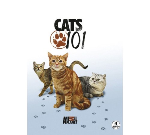 Cats 101 - Kediler