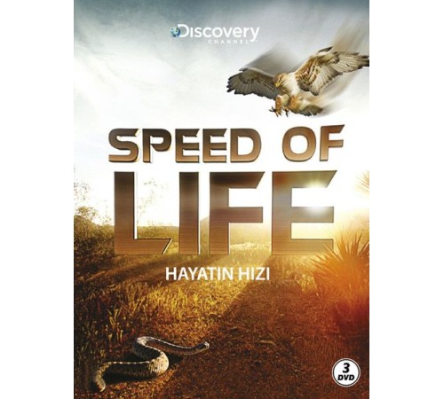 Speed Of Life - Hayatın Hızı Speed Of Life - Hayatın Hızı